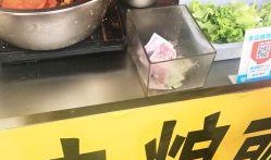 大学城美食爆料视频下载,短视频揭秘校园美食盛宴