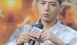 李现爆料元歌视频,独家视频揭秘神秘舞者