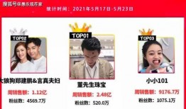 爆料董先生杨紫视频大全,甜蜜瞬间引网友热议