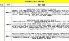 最新重庆小升初家长爆料,最新政策调整与择校攻略揭秘