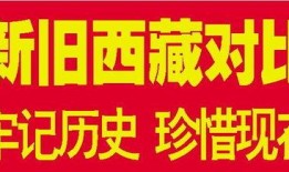 山东百姓要闻爆料视频大全,视频爆料大全回顾