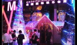 三亚酒吧爆料视频最新,现场实况直击，一探究竟！